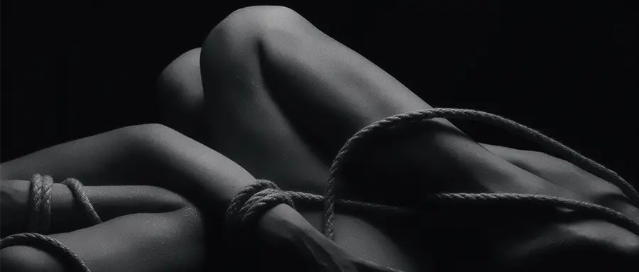 西檬之家-BDSM字母圈新人入圈指南