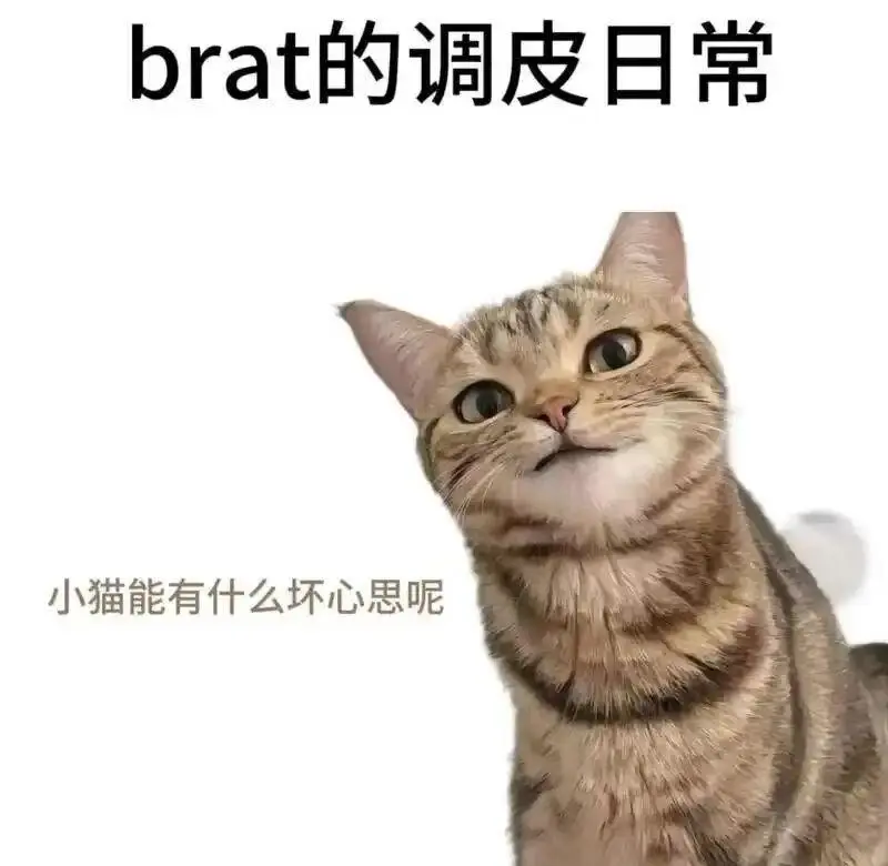 西檬之家-字母圈S倾向详解：新手如何理解与建立安全关系