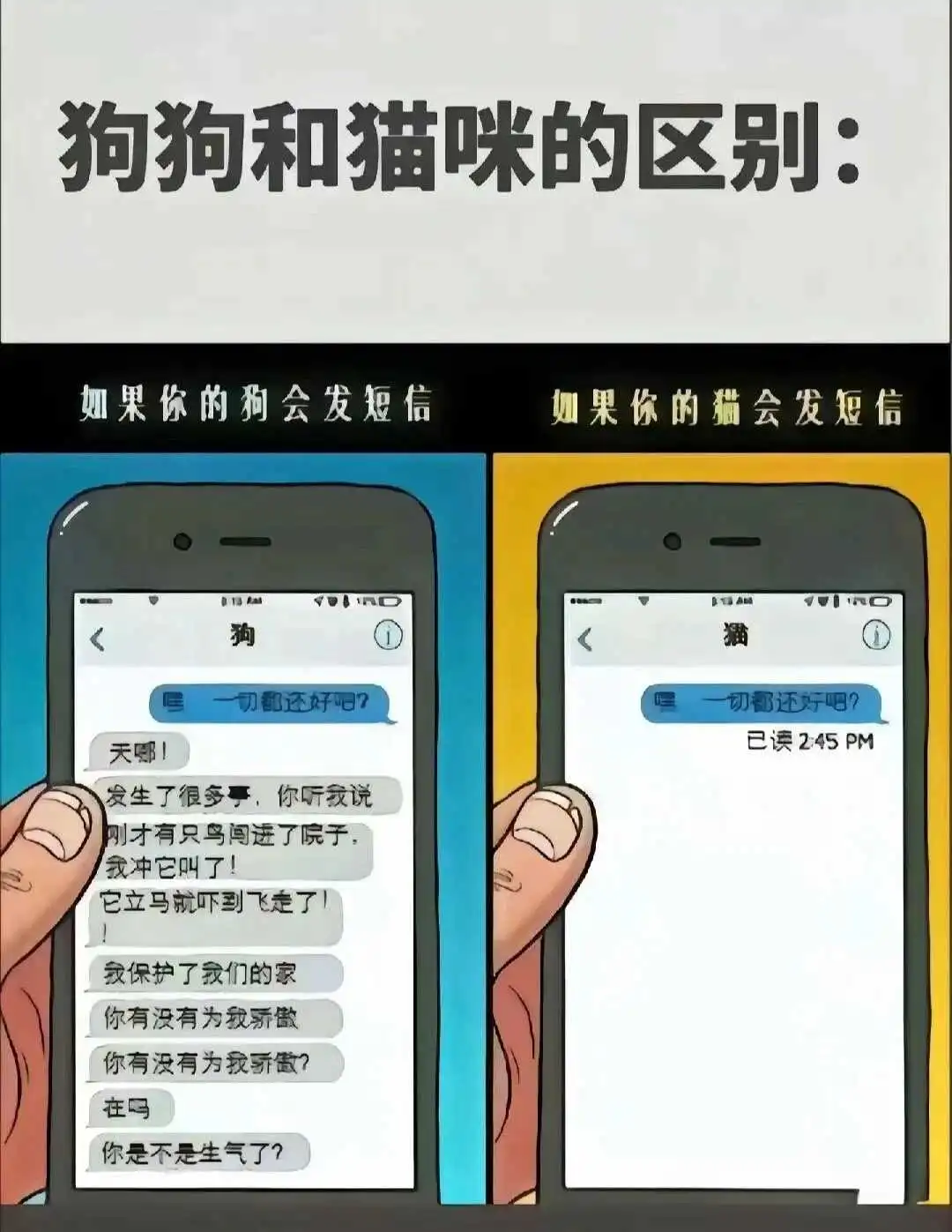 西檬之家-字母圈新人入圈指南：从基础术语到核心实践