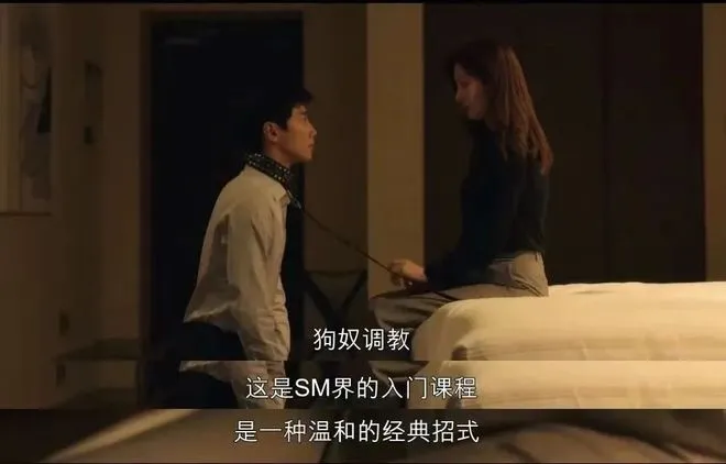 西檬之家-字母圈S属性是什么意思？新人入圈必读指南