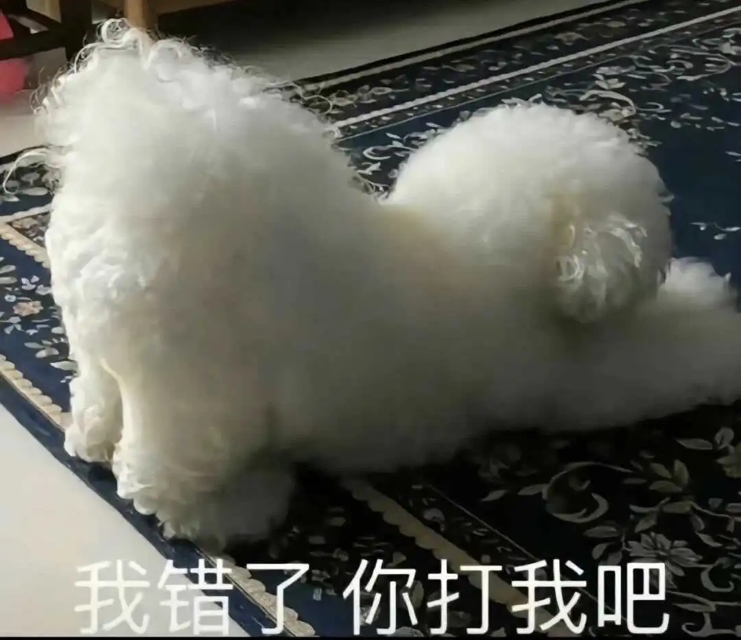 【西檬之家】M是什么？字母圈受虐者深层解析与伦理指南