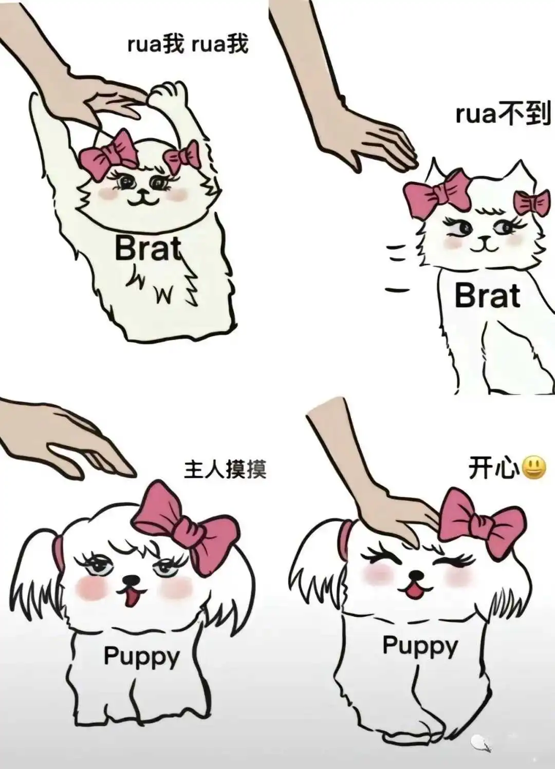 【西檬之家】Tickle是什么？字母圈新人如何安全入门